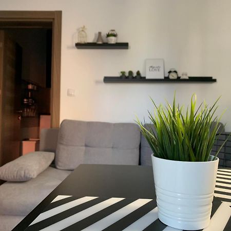 Apartman Spring 松博尔 外观 照片
